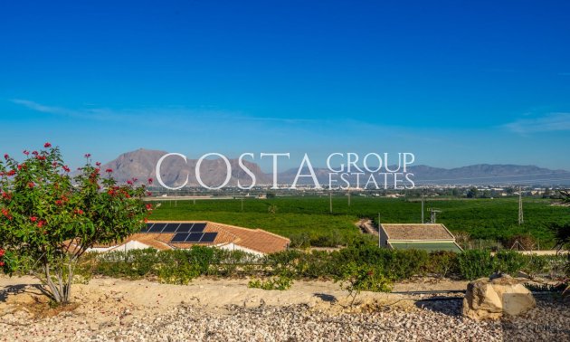 Wiederverkauf - Villa -
Benejúzar - Benejuzar Centro