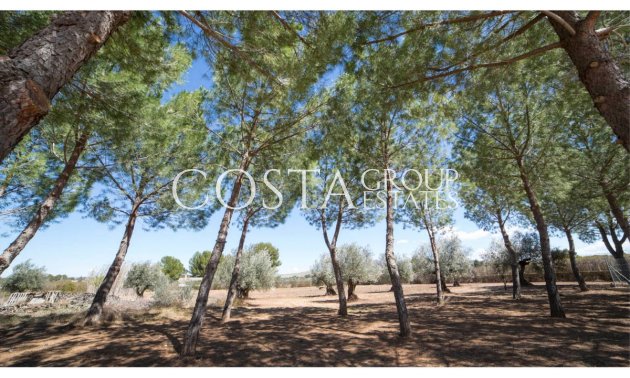 Revente - Villa -
Yecla - Yecla Centro