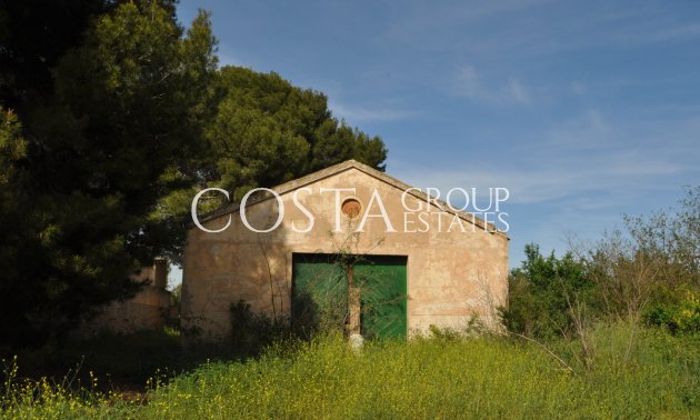 Resale - Villa -
Yecla - Yecla Centro