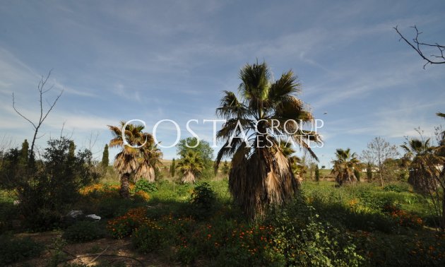 Resale - Villa -
Yecla - Yecla Centro