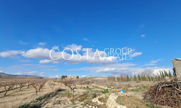 Odsprzedaż - Willa -
Pinoso - Pinoso Centro