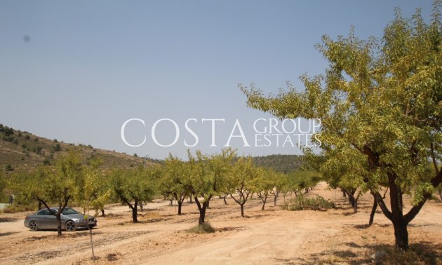 Odsprzedaż - Willa -
Pinoso - Pinoso Centro