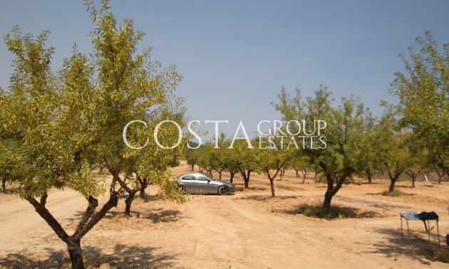 Odsprzedaż - Willa -
Pinoso - Pinoso Centro