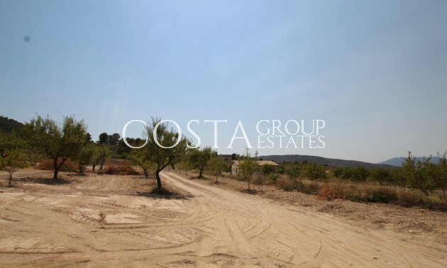 Odsprzedaż - Willa -
Pinoso - Pinoso Centro