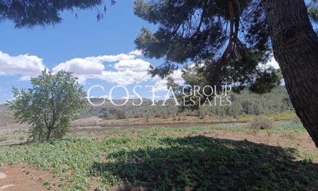 Revente - Villa -
Yecla - Yecla Centro