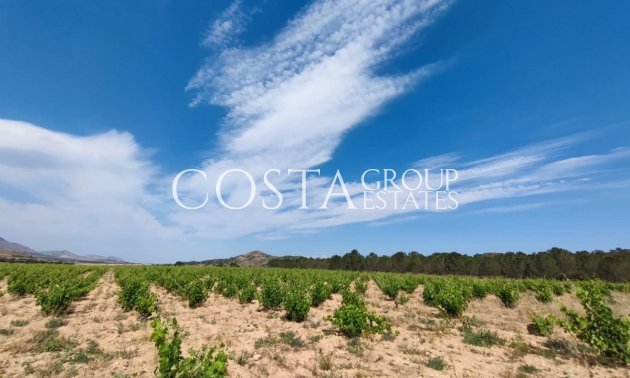 Odsprzedaż - Willa -
Yecla - Yecla Centro