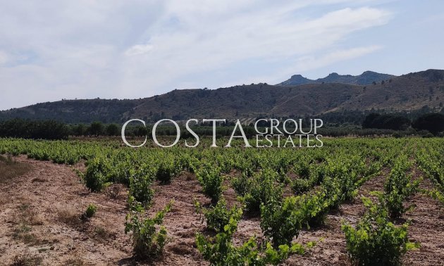 Odsprzedaż - Willa -
Yecla - Yecla Centro