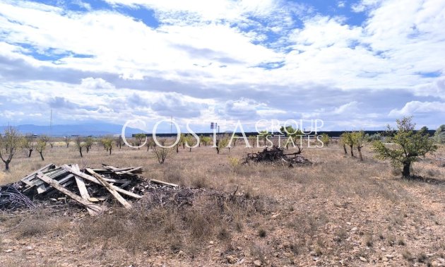 Resale - Villa -
Yecla - Yecla Centro