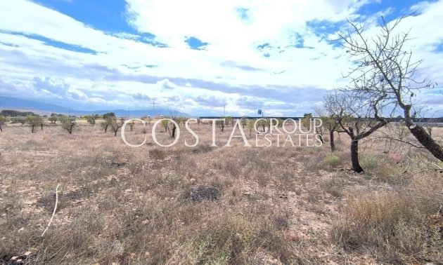 Resale - Villa -
Yecla - Yecla Centro