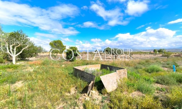 Resale - Villa -
Yecla - Yecla Centro