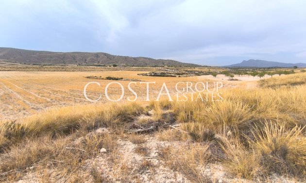 Revente - Villa -
Jumilla - Jumilla Centro