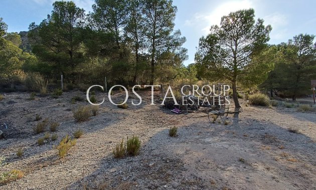 Resale - Villa -
Yecla - Yecla Centro