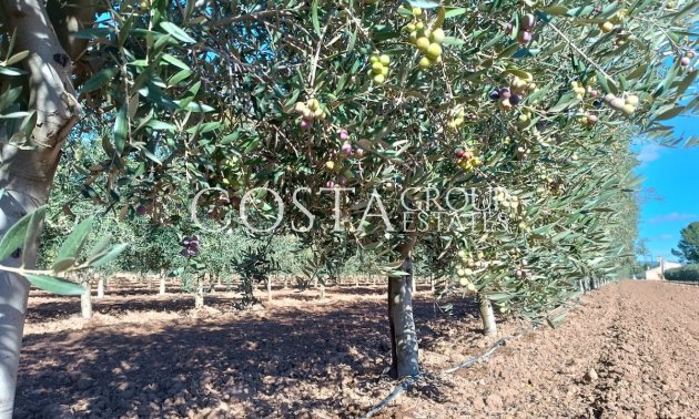 Herverkoop - Villa -
Yecla - Yecla Centro