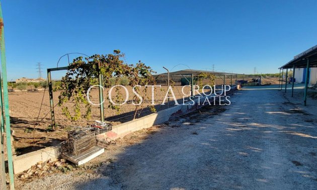 Odsprzedaż - Willa -
San Miguel de Salinas - San Miguel de Salinas Centro