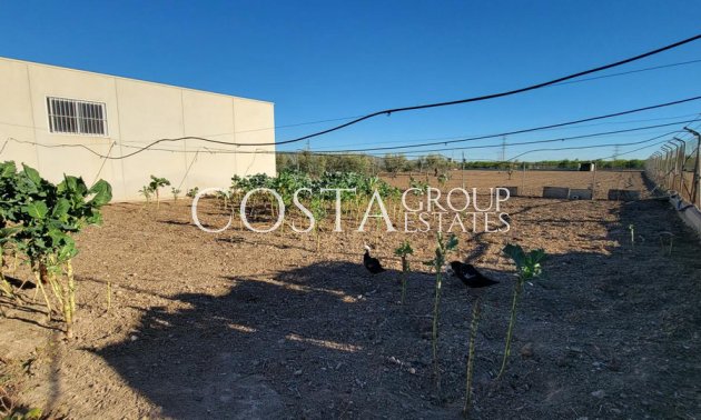 Odsprzedaż - Willa -
San Miguel de Salinas - San Miguel de Salinas Centro