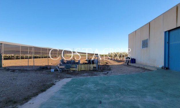 Odsprzedaż - Willa -
San Miguel de Salinas - San Miguel de Salinas Centro