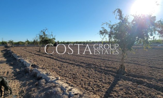 Odsprzedaż - Willa -
San Miguel de Salinas - San Miguel de Salinas Centro