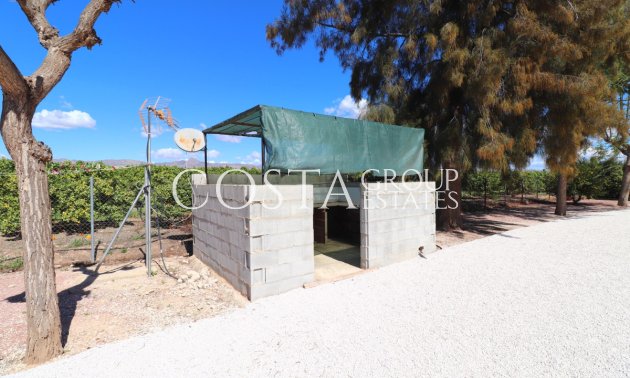 Herverkoop - Villa -
Callosa de Segura - Callosa de Segura Centro