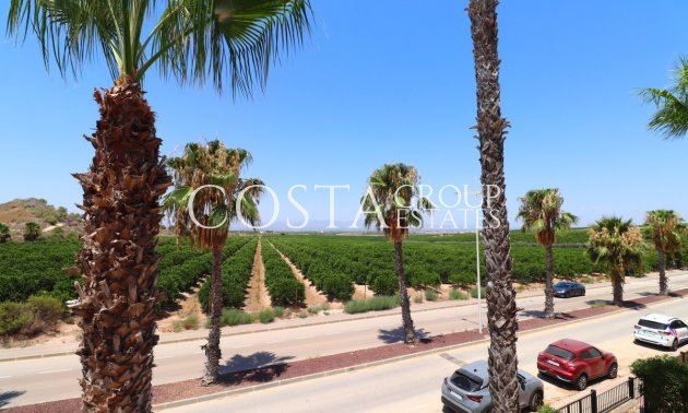 Resale - Villa -
Algorfa