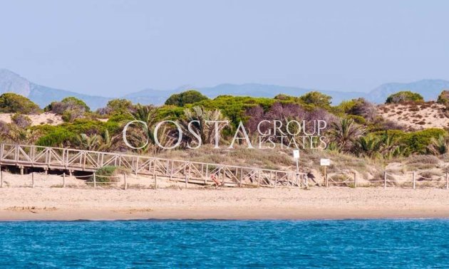 Nieuwbouw Woningen - Apartments -
Guardamar del Segura - Guardamar Del Segura