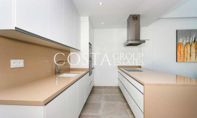 Nouvelle construction - Villa -
Daya Nueva