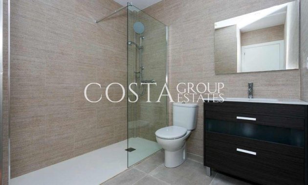 Nouvelle construction - Villa -
Daya Nueva