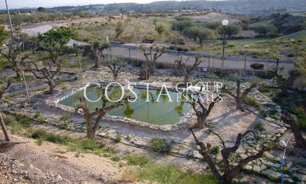 Resale - Villa -
Abanilla - Abanilla Centro