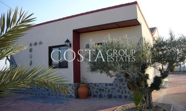 Resale - Villa -
Abanilla - Abanilla Centro