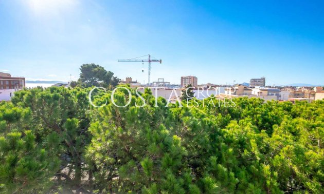 Resale - Apartments -
San Pedro del Pinatar - Lo Pagan