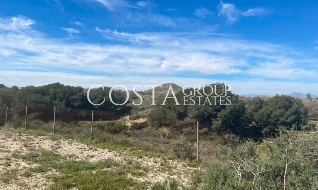 Odsprzedaż - Willa -
Guardamar del Segura - Guardamar del Segura Centro