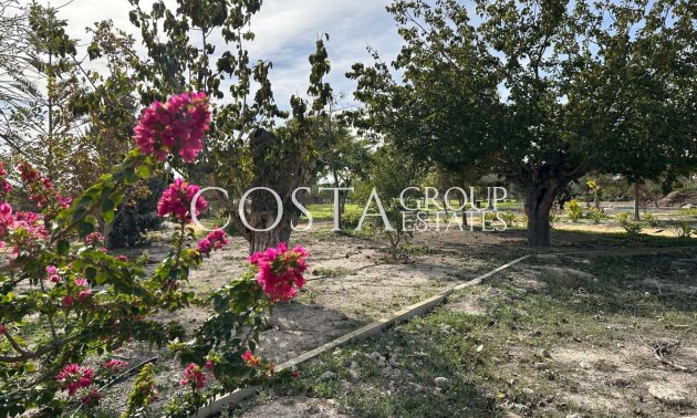 Odsprzedaż - Dom -
Dolores - Dolores Centro