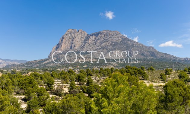 Nieuwbouw Woningen - Villa -
Finestrat