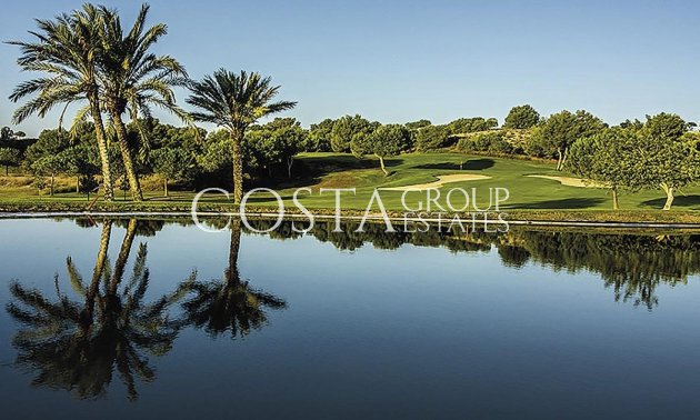 Neue Gebäude - Apartments -
Monforte del Cid