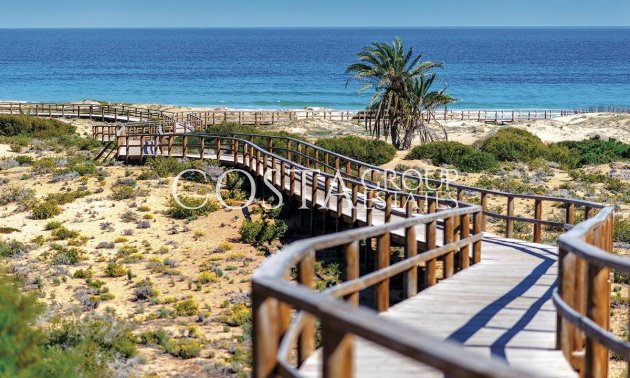 Neue Gebäude - Apartments -
Monforte del Cid