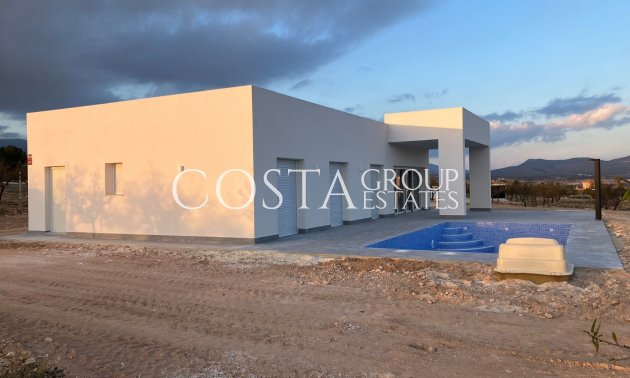 Nowy budynek - Willa -
Pinoso