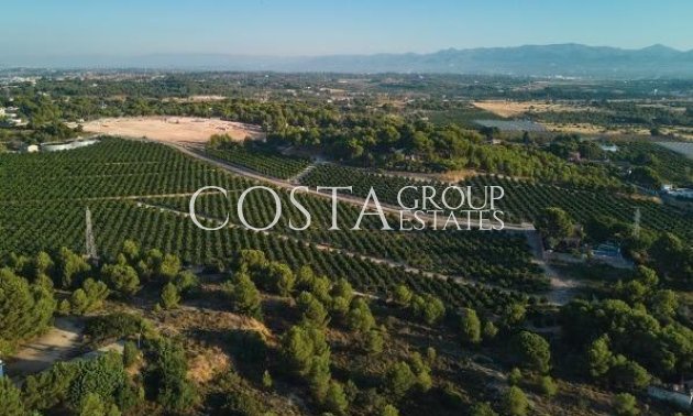 Nowy budynek - Apartments -
Godella - Campolivar