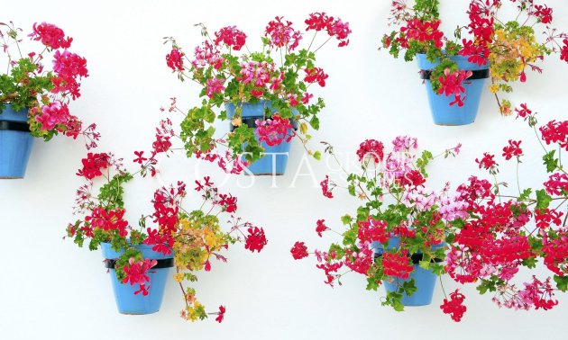 Nieuwbouw Woningen - Apartments -
Mijas - La Noria Golf