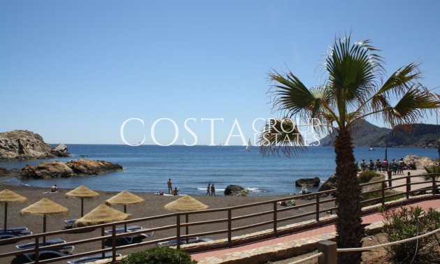 Nowy budynek - Dom -
La Union - centro