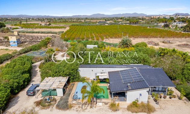 Herverkoop - Villa -
Elche Pedanías - Las Bayas