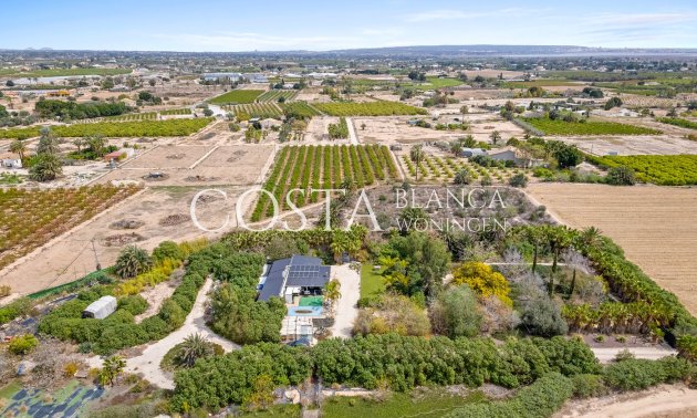 Herverkoop - Villa -
Elche Pedanías - Las Bayas