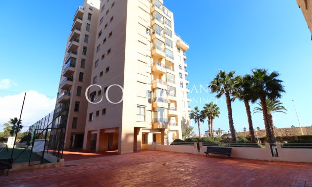 Wiederverkauf - Apartment -
Guardamar del Segura