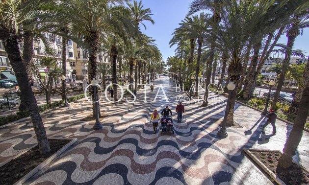 Nieuwbouw Woningen - Appartement -
Torrevieja - Torreblanca