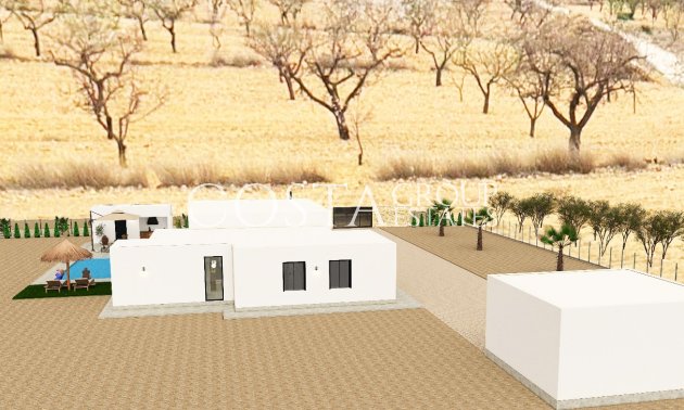 Nouvelle construction - Villa -
Pinoso