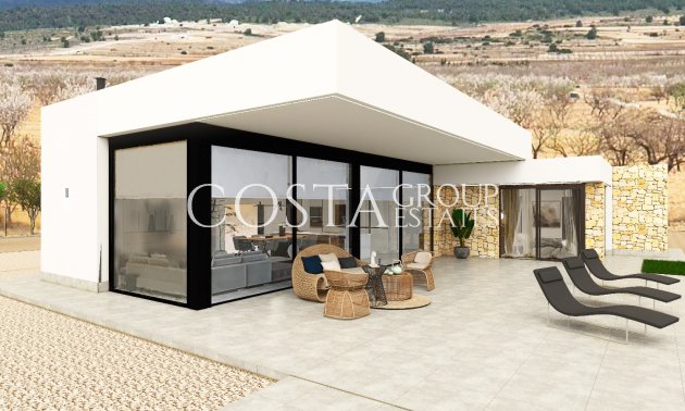 Nouvelle construction - Villa -
Pinoso