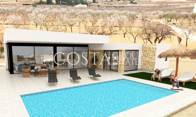 Nouvelle construction - Villa -
Pinoso