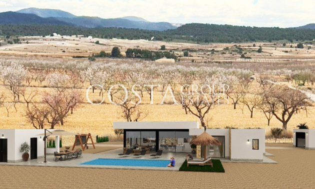 Nouvelle construction - Villa -
Pinoso