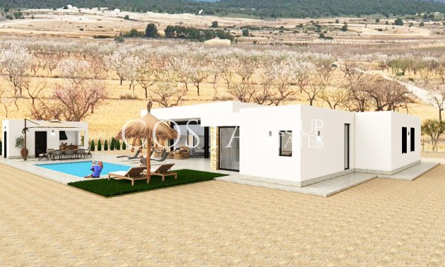 Nouvelle construction - Villa -
Pinoso