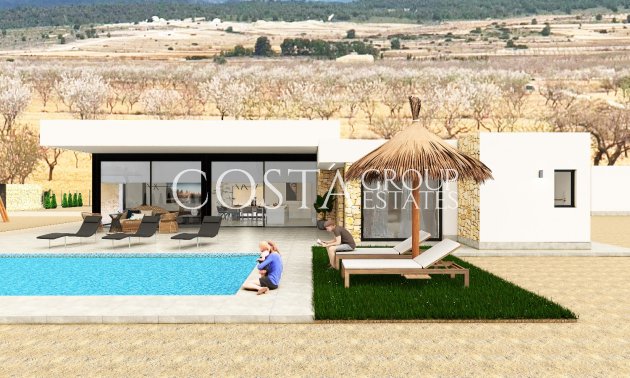 Nouvelle construction - Villa -
Pinoso