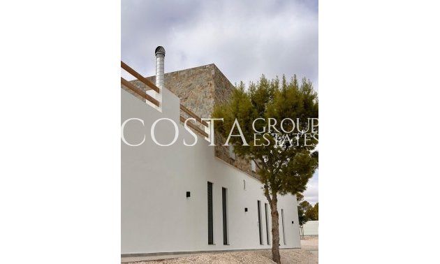 Neue Gebäude - Villa -
Pinoso - Casas Pastor