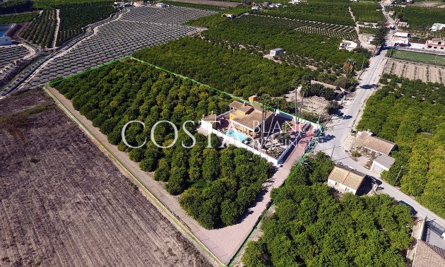 Resale - Villa -
Orihuela Costa - Orihuela